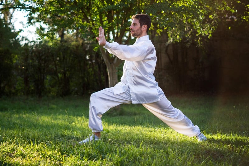 Tai Chi Sunlight